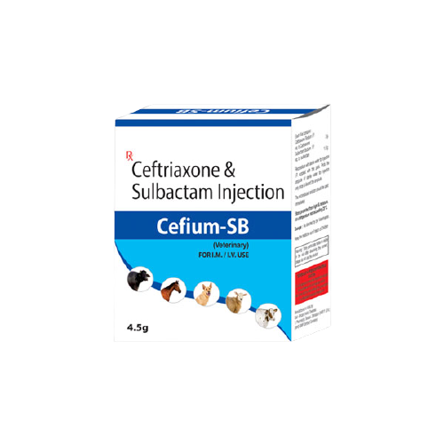 Cefium-SB-4.5g_Veterinary-3D-removebg-preview