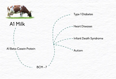 Health advantages of milk