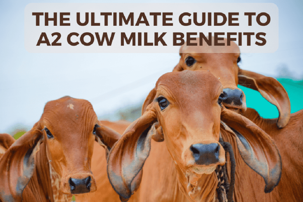Health advantages of milk