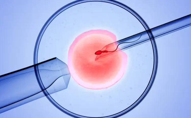 IVF: The Science of Hope for Aspiring Parents